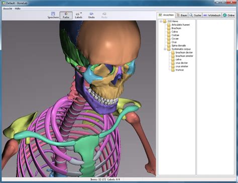 Oct 3, 2022 · Mods at BONELAB Nexus - Mods and Community Mods is a website where you can find and download various mods for the game Bonelab, a 3D physics-based sandbox where you can create and experiment with skeletons. Whether you want to add new features, enhance the graphics, or unlock hidden collectibles, you can find a mod …